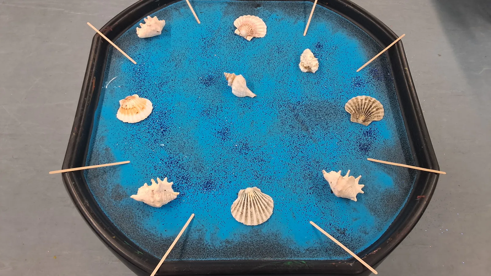 blue sand and shells