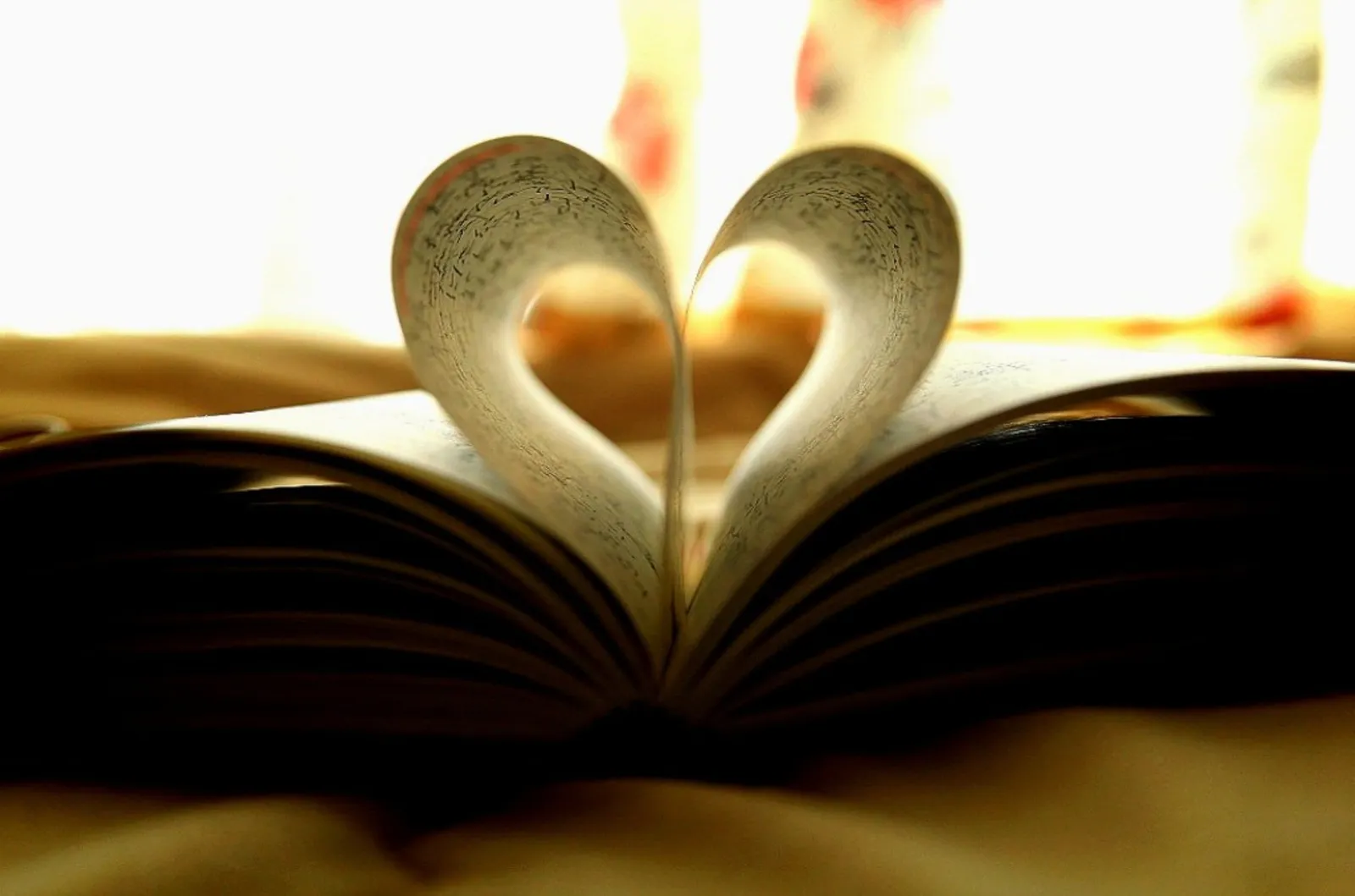 diary_heart