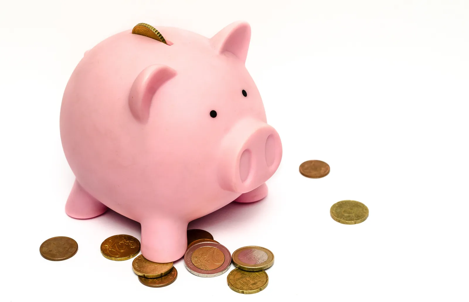 piggy bank
