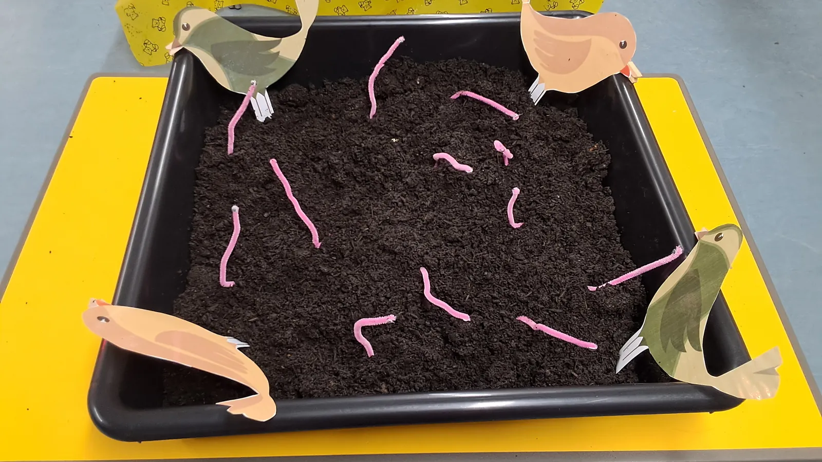 worms activity